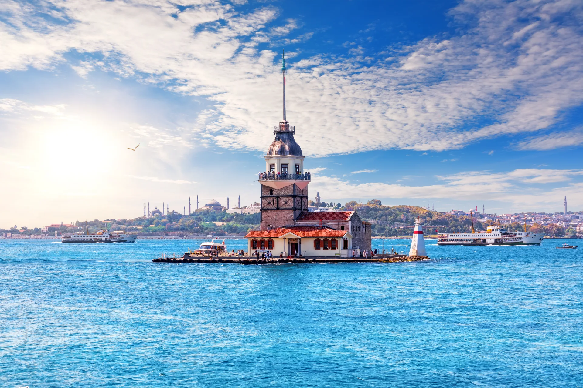 Magical Turkey